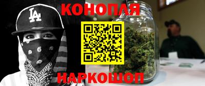 крисы Славянск-на-Кубани