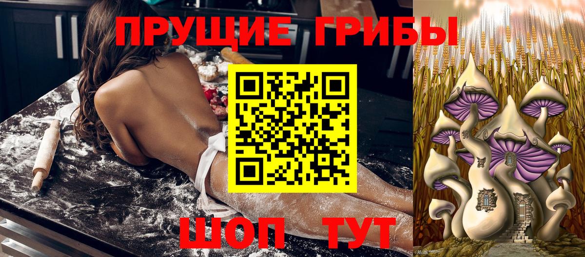 Галлюциногенные грибы мухоморы Ноябрьск