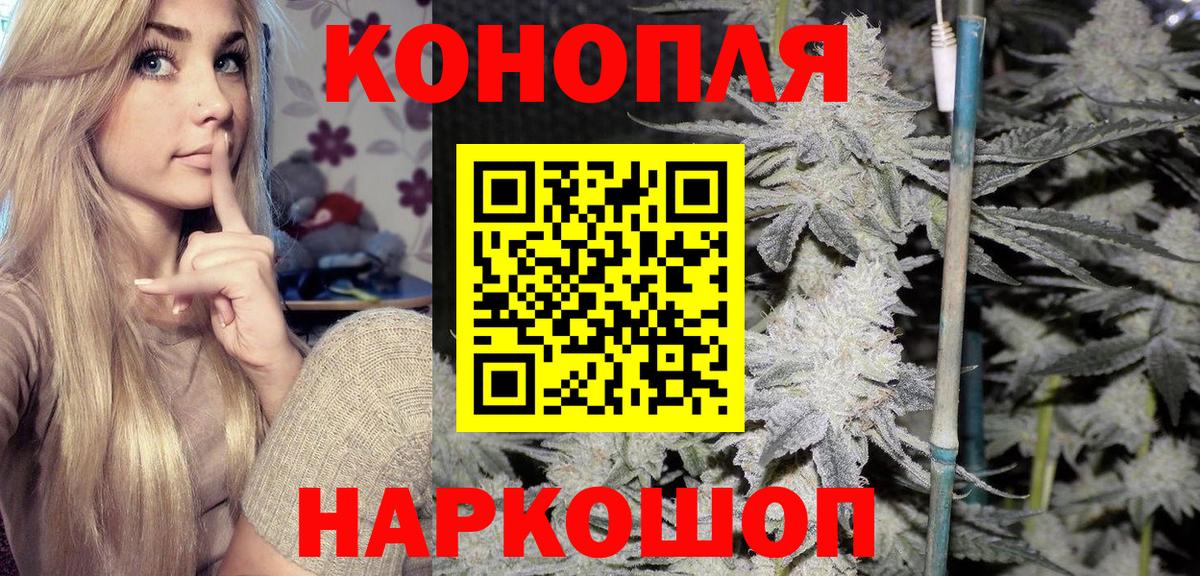 Канабис план Ноябрьск